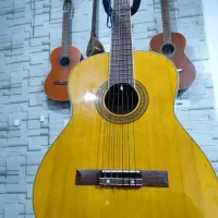 گیتار|گیتار، بیس، امپلیفایر|شوش, |دیوار