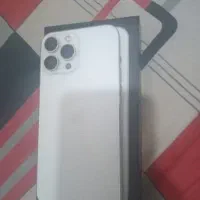 13پرومکس