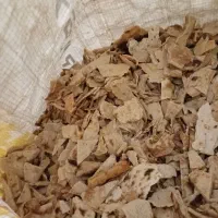 نان خشک تمیز و بدون کپک