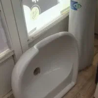 سرشور سالنی