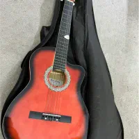 گیتار فونیکس