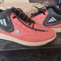 کتونی ،بوت|کیف، کفش، کمربند|میاندوآب, |دیوار