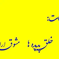 گروه تبلیغات مرشدی