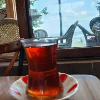 باریستا و سالنکار