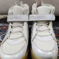 کفش|کیف، کفش، کمربند|شاهنجرین, |دیوار