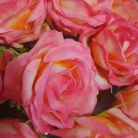 شاخه گل رز خمیری|گل مصنوعی|شیراز, شهرک گلستان|دیوار