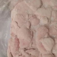 دنبه گوسفند آماده صادرات|عمده‌فروشی|تهران, امیریه|دیوار