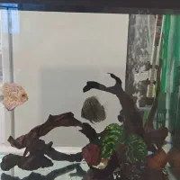 آکواریوم فیلتر سطلی ایهام ۲۲۱۵