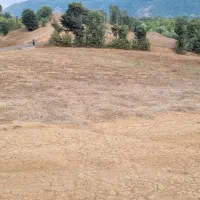 ۶۶۰۰متر زمین  چشمه دار دارای  سند تکبرگ لوکیشن .|فروش زمین و ملک کلنگی|بره‌سر, |دیوار