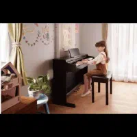 آموزش تخصصی پیانو مربی خانم و آقا|خدمات آموزشی|شیراز, وصال|دیوار