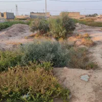 زمین در شرکت آجر  حمیدیه
