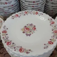 سرویس ۲۴ نفره آرکوپال زیبا