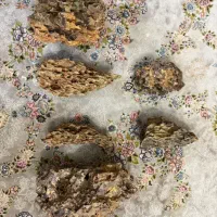 سنگ دراگون اکواریوم