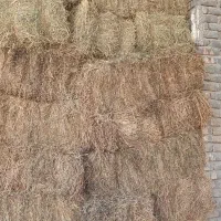 یونجه خشک انباری|عمده‌فروشی|کبودرآهنگ, |دیوار