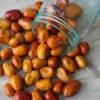 پیش فروش نهال سنجد قزل|خدمات باغبانی و درختکاری|اسفیچ, |دیوار