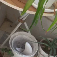 میز خاطره با پایه محکم|میز تلفن|قدس, شهرقدس|دیوار