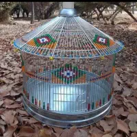 سهره قناری خاکی مست مست خون