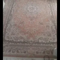 دوتخته فرش نخی ۶متری سالم بدون کوچکترین زدگی|فرش|صفادشت, |دیوار