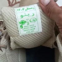 کفش ایمنی مهندسی ارک مدل رینو|کیف، کفش، کمربند|کیش, |دیوار