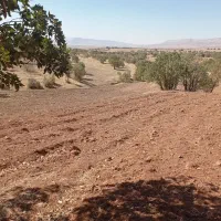 فروش ۳۵هزارمترزمین لب جاده خرم آبادکوهدشت|فروش دفتر صنعتی، کشاورزی، تجاری|کوهدشت, |دیوار