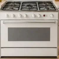 اجاق الیش گاز فردار