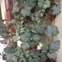 درخت مصنوعی