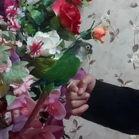 طوطی گرینچیک یلوساید نر دو و نیم ساله کامل دستی|پرنده|یزد, |دیوار