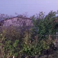 فیش حج عمره