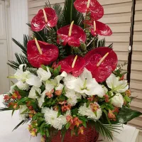 سبد باکس دسته گل طبیعی عروس عروسی نامزدی بله برون