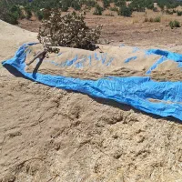 کاه جو|خدمات باغبانی و درختکاری|لردگان, |دیوار
