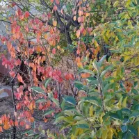 یه-قطعه-زمین-150متری-در-قلعه