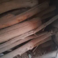 فروش چوب چهار متری