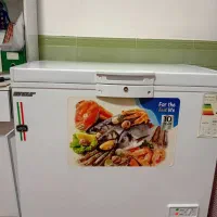 فریزرصندوقی ۲۲۵لیتری