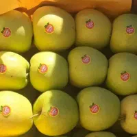 سلام کارگرلازم دارم واسه سردخانه. خودمم سرکارگرم.