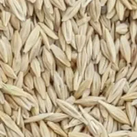 جو بوواری شده