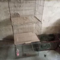 فروش قفسه پرندگان باوسایل جانبی قفس