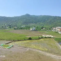 آپارتمان ۲۱۰ متر۳ خوابه خ شهید زارع ویو بام سبز|فروش آپارتمان|ماسال, |دیوار