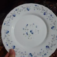 ۵۰۰ عدد بشقاب طرح رمانتیک فرانسوی و ۱۰۰ عدد دیس