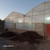 گلخانه سازه پایه اسپانیایی|ماشین‌آلات صنعتی|شاهرود, |دیوار