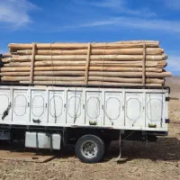 چوب فروشی و مرکز جمع آوری انواع چوب|عمده‌فروشی|سنقر, |دیوار