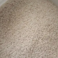 برنج صدری بیرانشهر