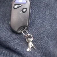 ریموت پیدا شده