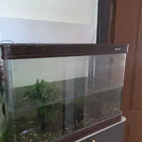 اکولریوم شیشه خم
