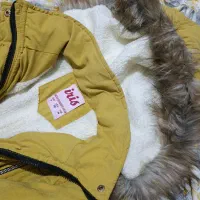 کت نو نو هستش|لباس|یاسوج, |دیوار