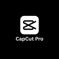 اکانت هوش مصنوعی gemini chatgpt canva capcut|کنسول، بازی ویدئویی و آنلاین|تهران, جردن|دیوار