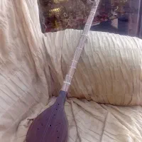 سه تار درحدنو، بدون قاب