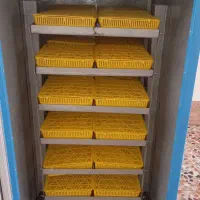 دستگاه جوجه کشی تمام اتوماتیک