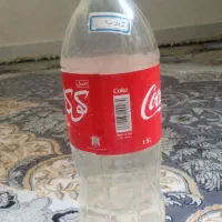 گلاب خانگی