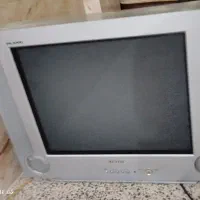 تلویزیون