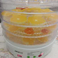 میوه و سبزی خشک کن|سایر لوازم برقی|بوکان, |دیوار